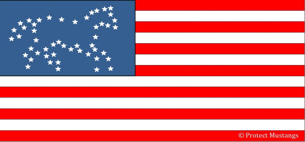 PM mustang flag with stars by Robin Warren