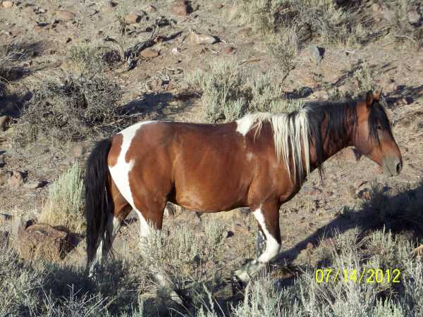 dickie120714