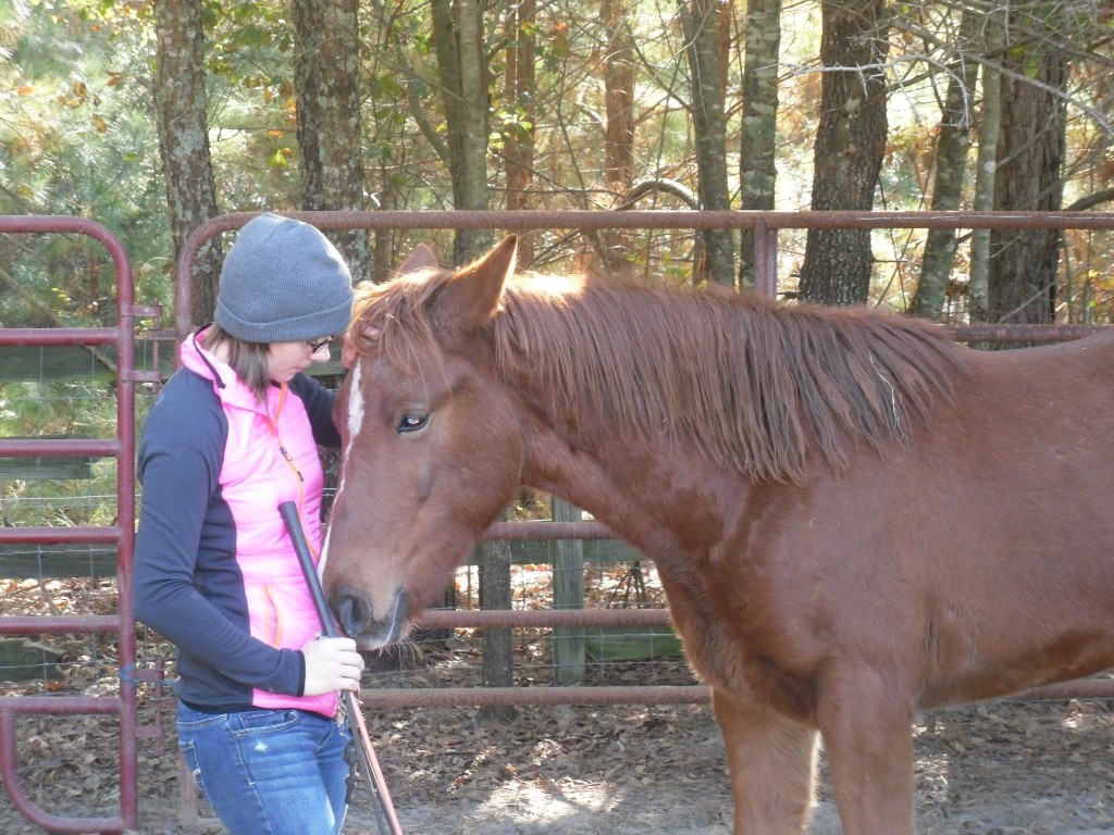 PM Baby Red #2484 PILGRIM new home Nov 2012